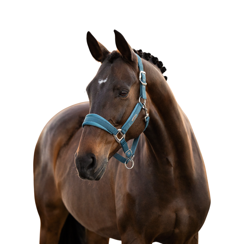 LeMieux - Licol pour chevaux Versailles jungle | - Ohlala