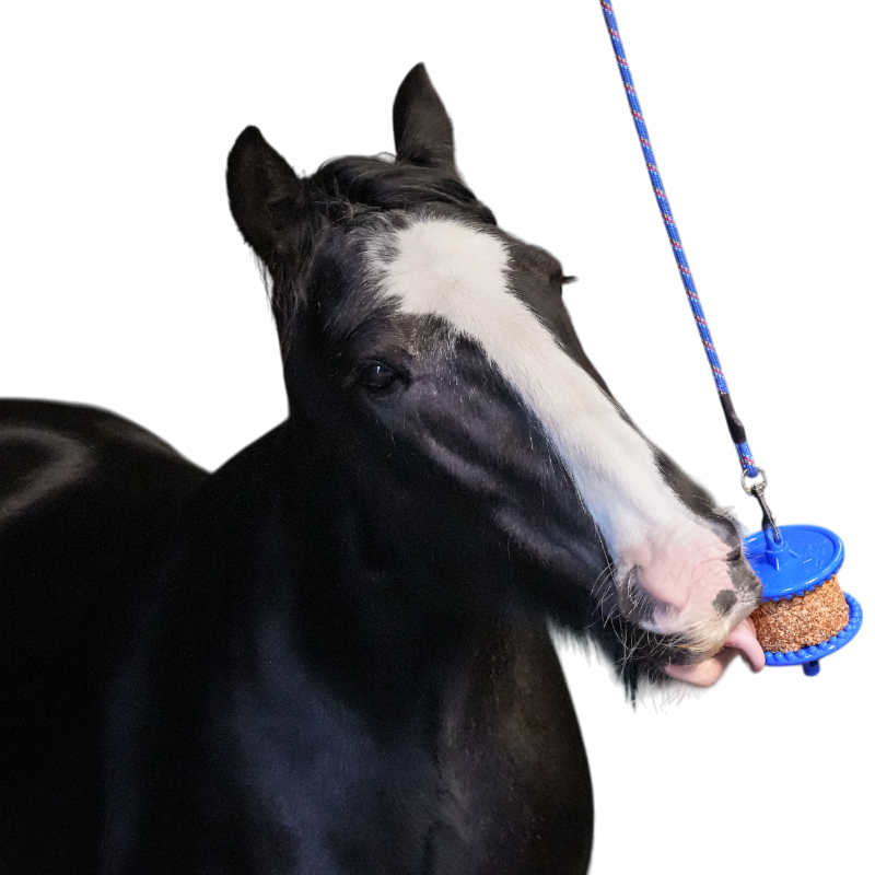 Likit - Friandise pour chevaux pierre granola allégée pomme | - Ohlala