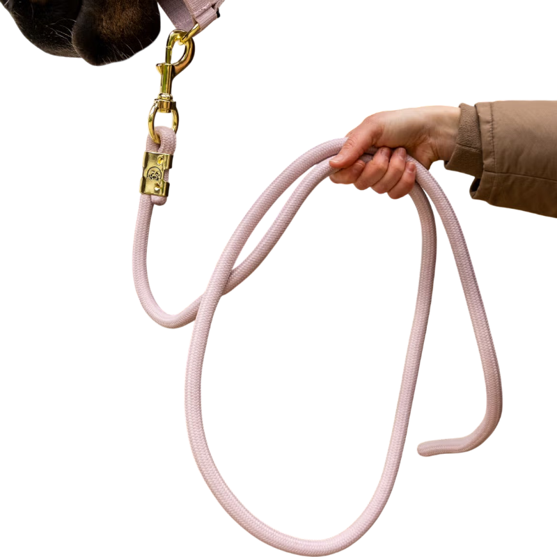 Kentucky Horsewear - Longe Rope Basic soft rose 2m