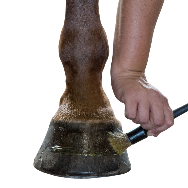 Michel Vaillant - Onguent Bio pour sabot stimule la pousse Feetactiv prêle | - Ohlala