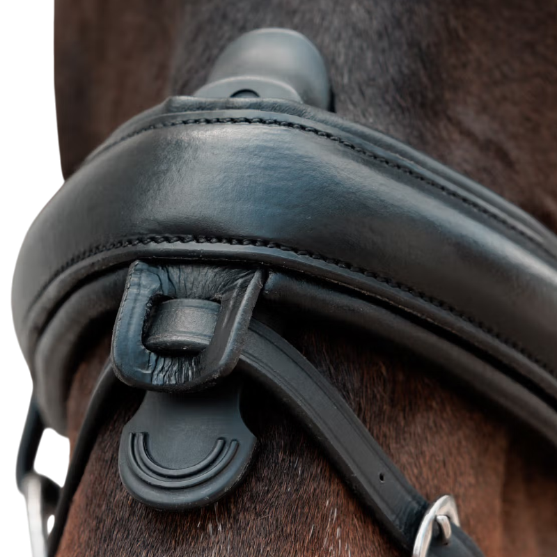 Dyon - Muserolle combinée Crank Matt noir