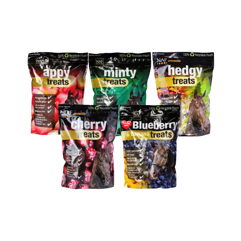 NAF - Friandises menthe Minty Treats | - Ohlala