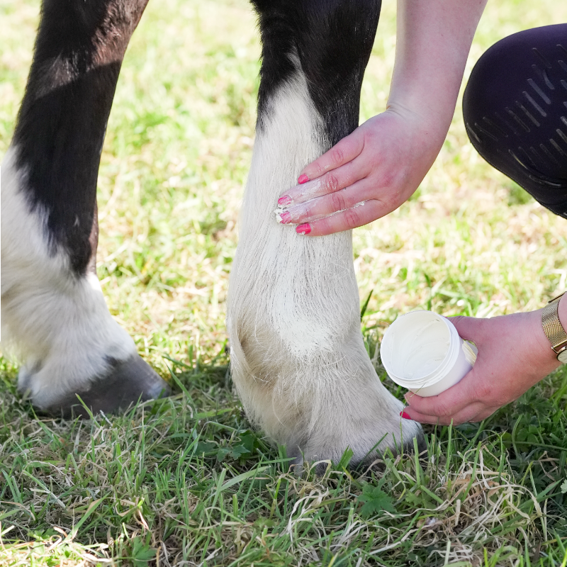 Natural' Innov - Crème solaire pour chevaux Natural'Sun | - Ohlala