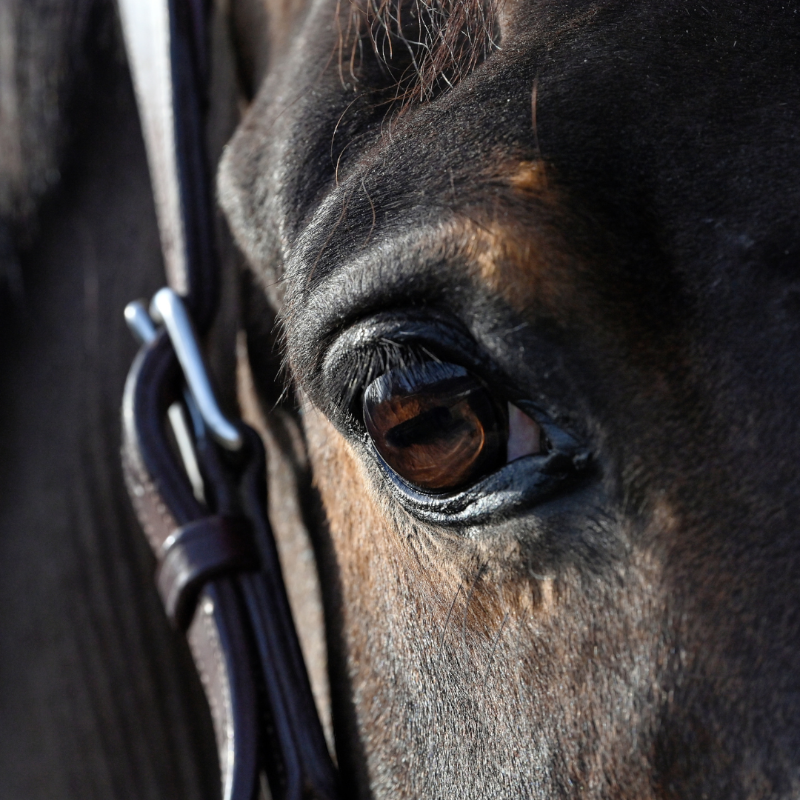 Natural' Innov - Lotion nettoyante pour les yeux Natural'Look | - Ohlala