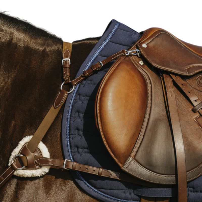 Norton - Collier de chasse 5 points havane | - Ohlala