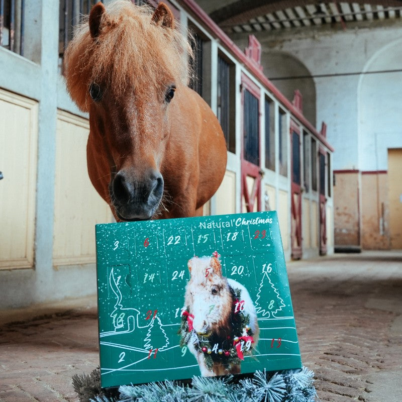 Natural' Innov - Calendrier de l'avent Natural'Christmas Gourmet 2025 | - Ohlala