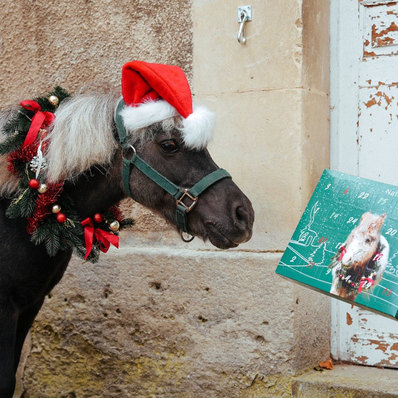 Natural' Innov - Calendrier de l'avent Natural'Christmas Gourmet 2025 | - Ohlala