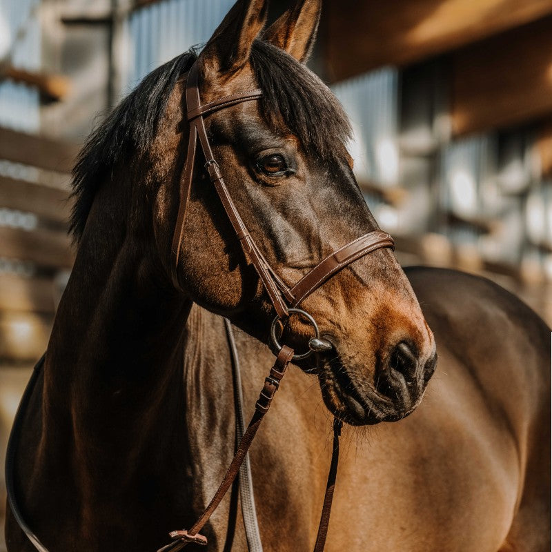 Norton - Bridon Hunter en cuir havane | - Ohlala