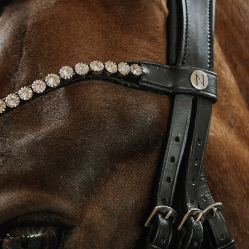 Norton - Bridon de dressage Diams noir | - Ohlala