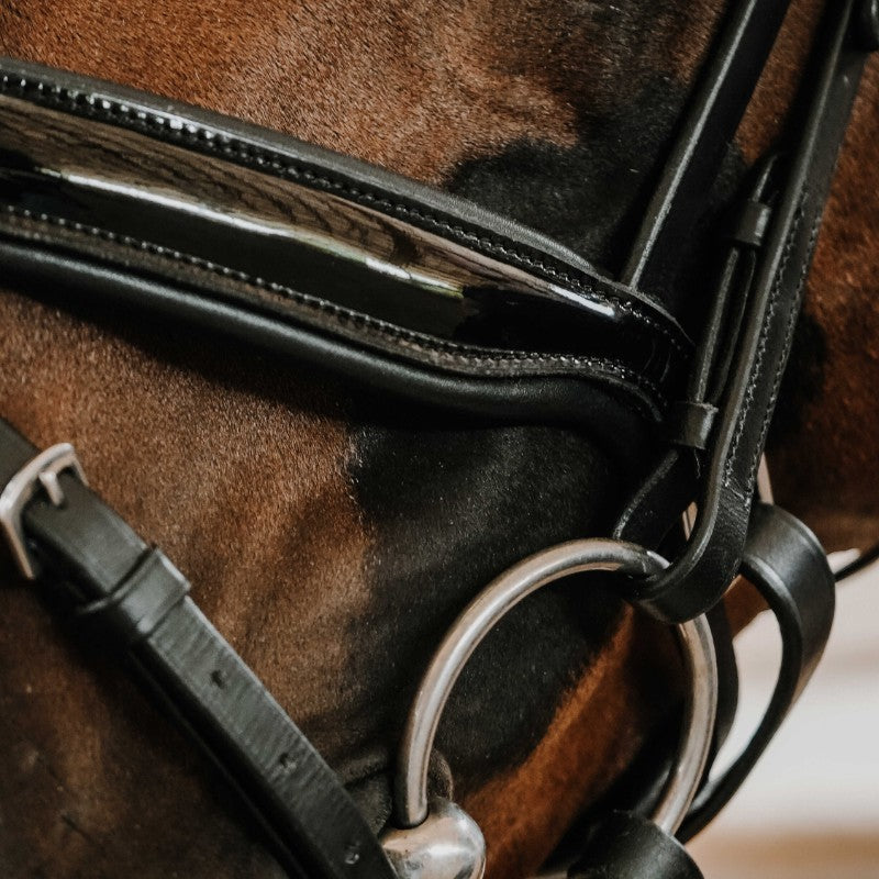 Norton - Bridon de dressage Royal noir | - Ohlala
