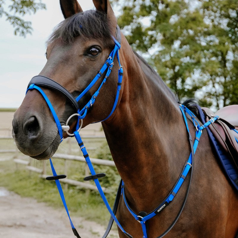 Norton - Bridon endurance Pop bleu électrique | - Ohlala