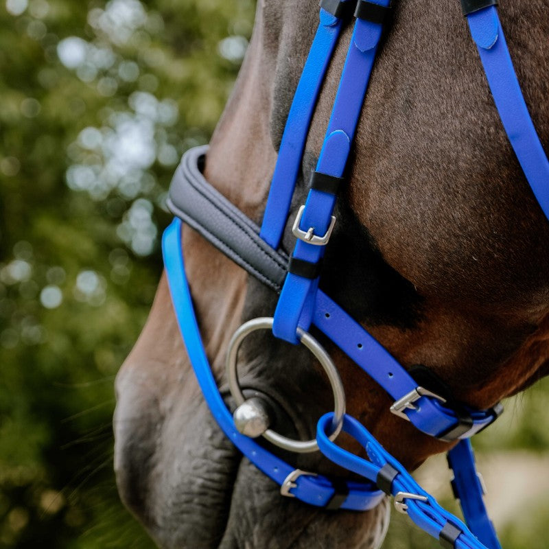 Norton - Bridon endurance Pop bleu électrique | - Ohlala