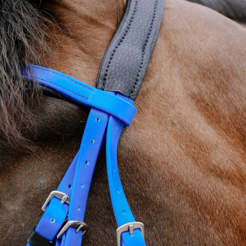 Norton - Bridon endurance Pop bleu électrique | - Ohlala