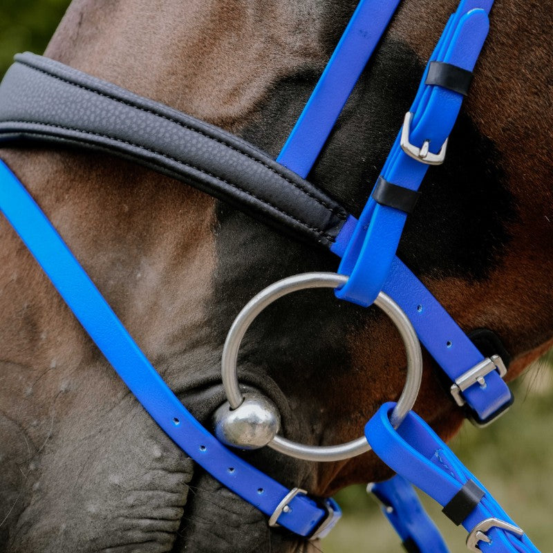 Norton - Bridon endurance Pop bleu électrique | - Ohlala