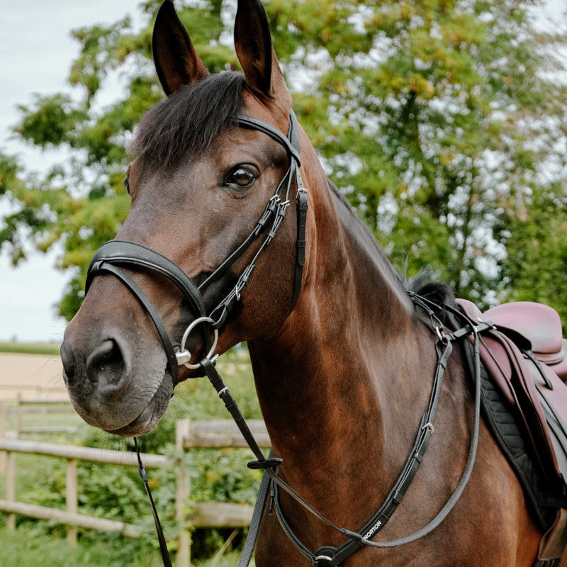 Norton - Bridon endurance Pop noir | - Ohlala