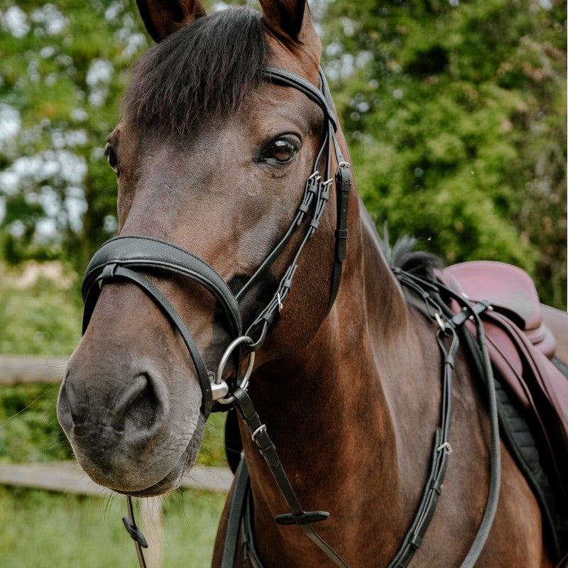 Norton - Bridon endurance Pop noir | - Ohlala