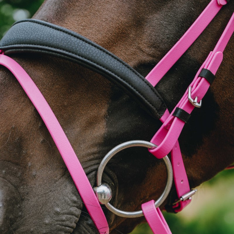 Norton - Bridon endurance Pop rose | - Ohlala