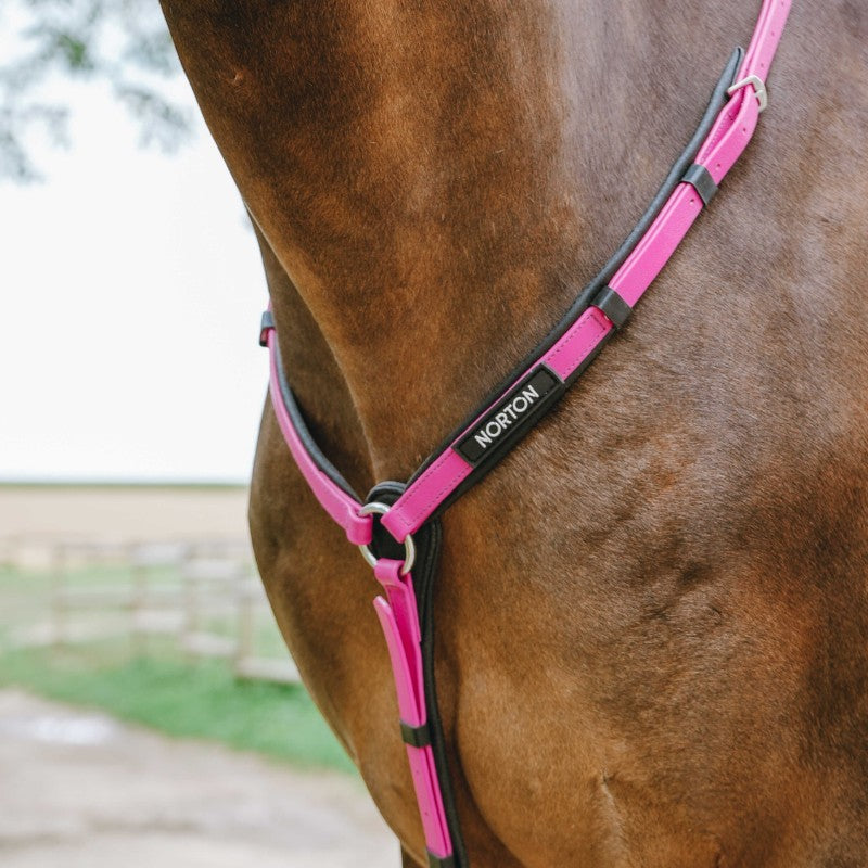 Norton - Collier de chasse endurance Pop rose | - Ohlala