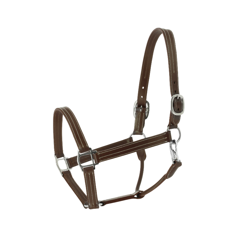 Norton - Licol US havane | - Ohlala