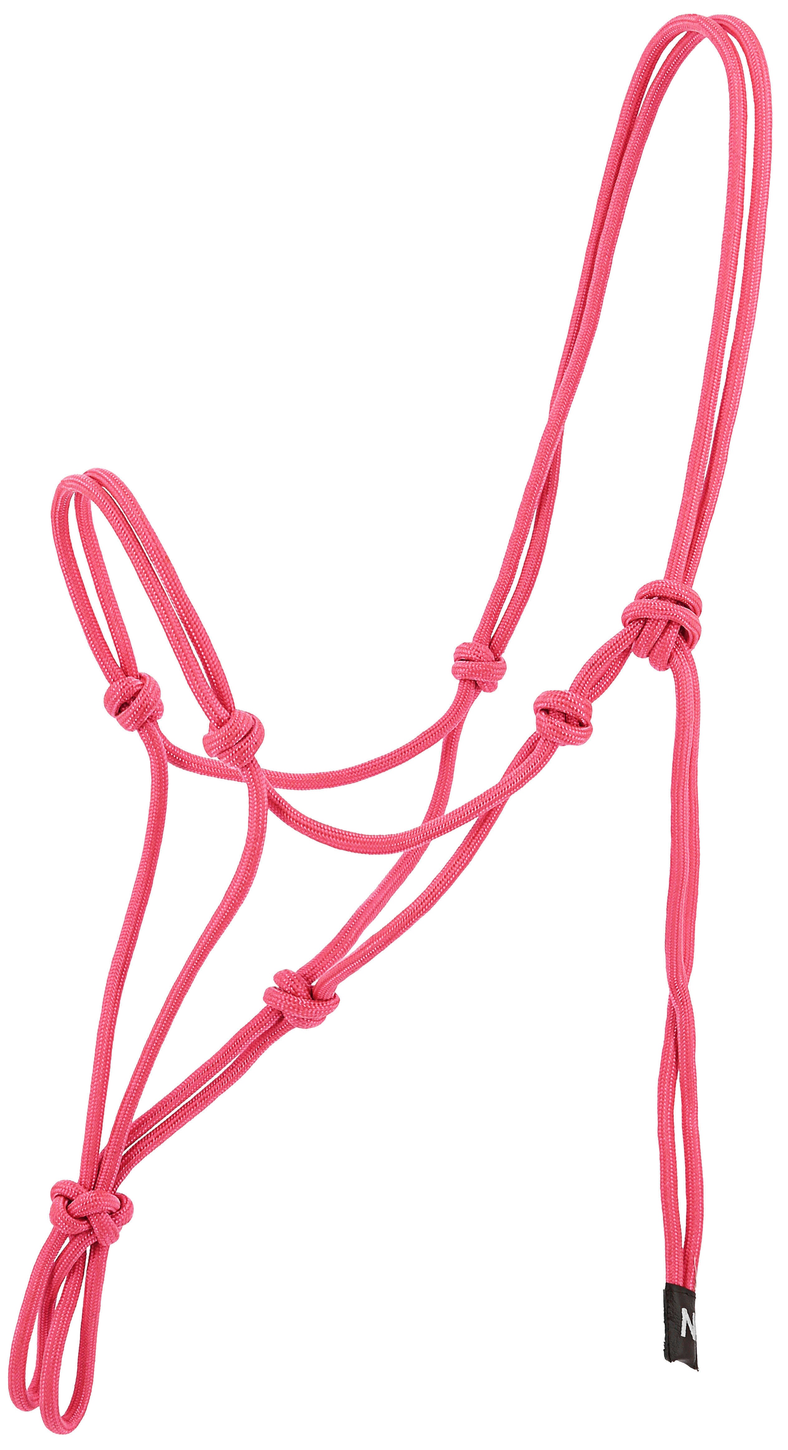 Norton - Licol éthologique en nylon vieux rose | - Ohlala