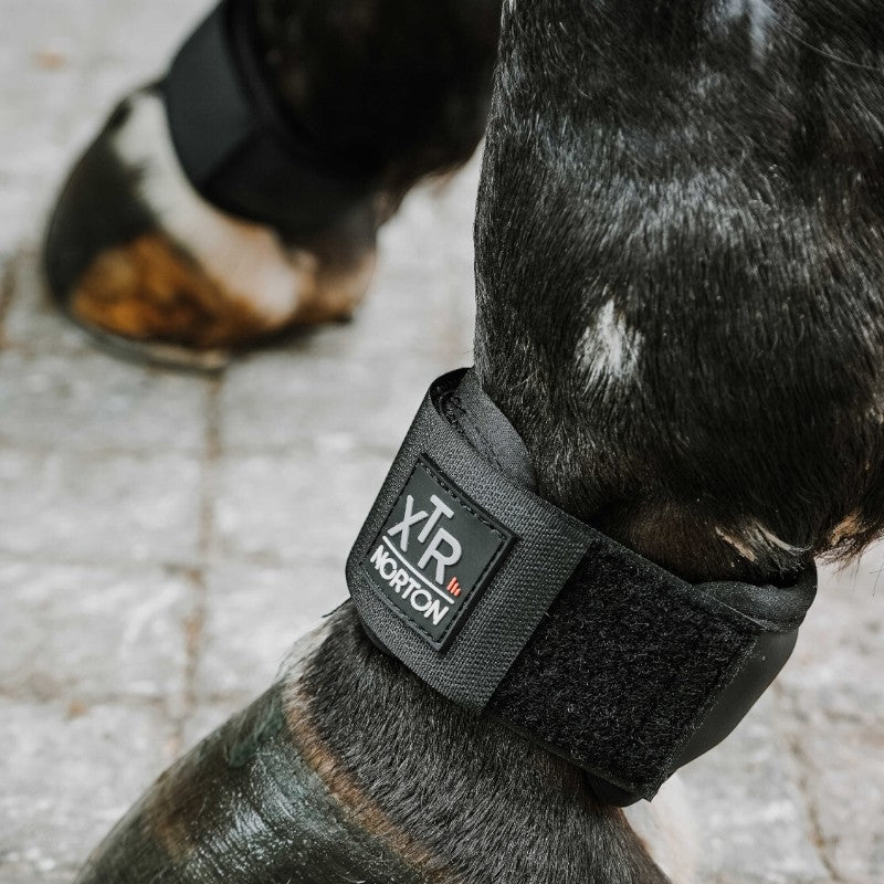 Norton - Protège-paturons XTR gel noir | - Ohlala