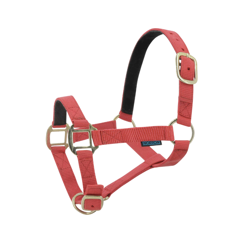 Norton - Licol nylon doublé cuir rouge | - Ohlala