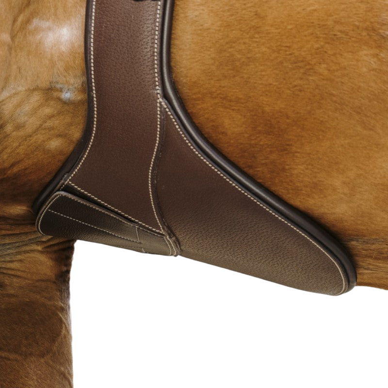 Norton - Sangle bavette Magnet havane | - Ohlala