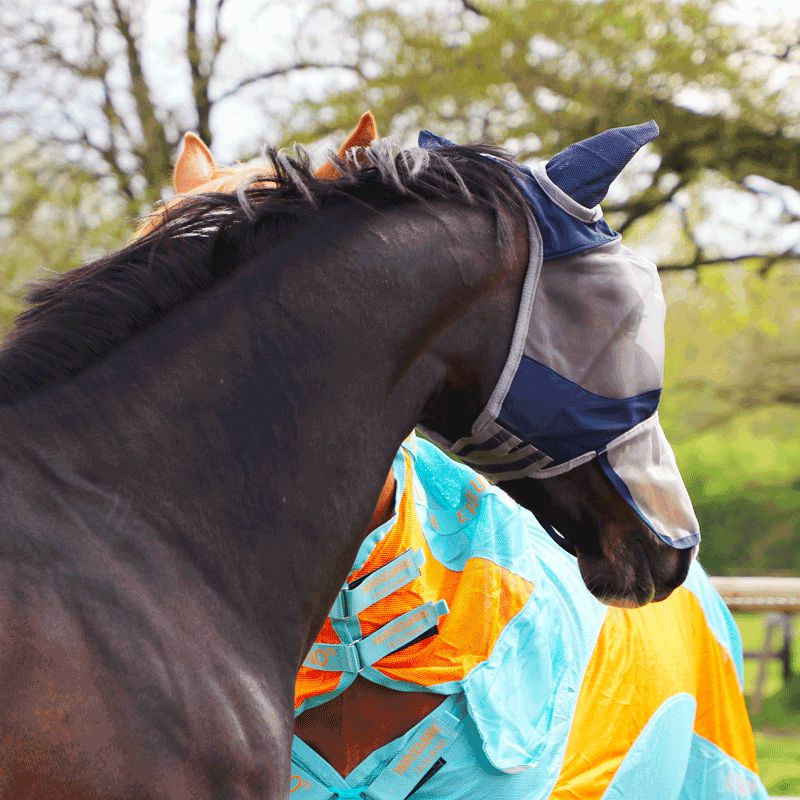 LeMieux - Masque anti-mouche Armor Shield pro | - Ohlala