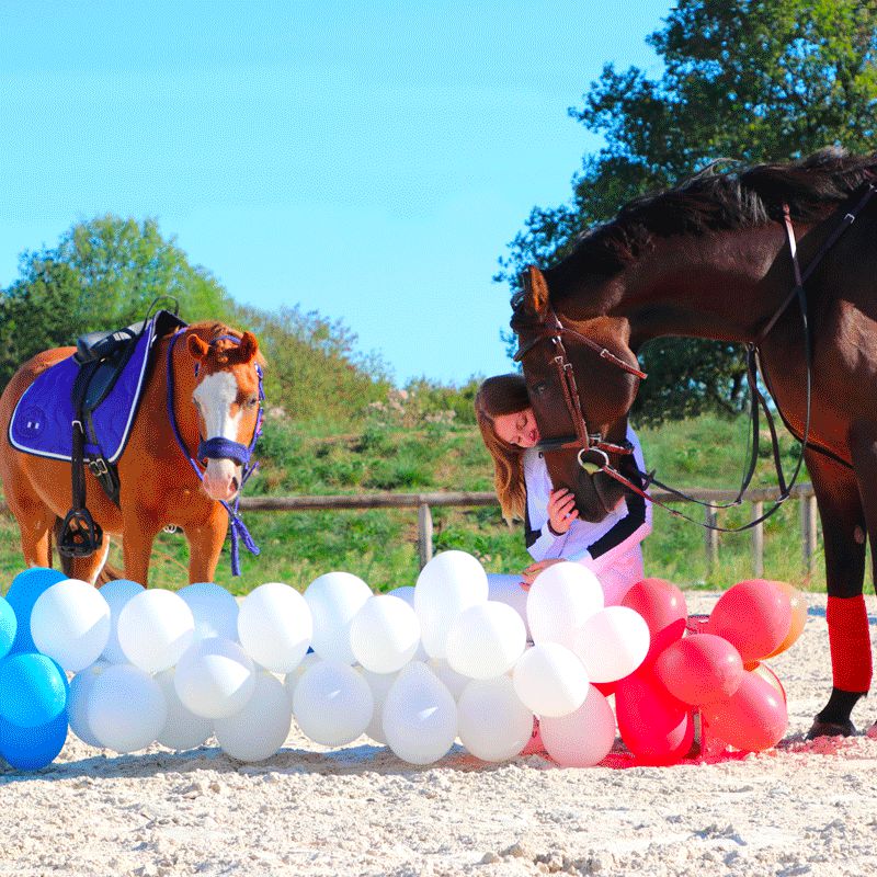 Jump'In - Tapis de selle bleu roi/ blanc/ marine | - Ohlala