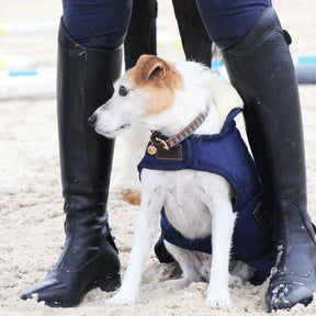 Kentucky Dogwear - Manteaux pour chiens 160g marine | - Ohlala