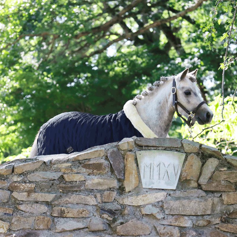 Kentucky Horsewear - Licol en cuir mouton pour Minis | - Ohlala