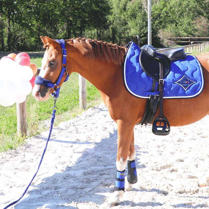 Jump'In - Tapis de selle bleu roi/ blanc/ marine | - Ohlala