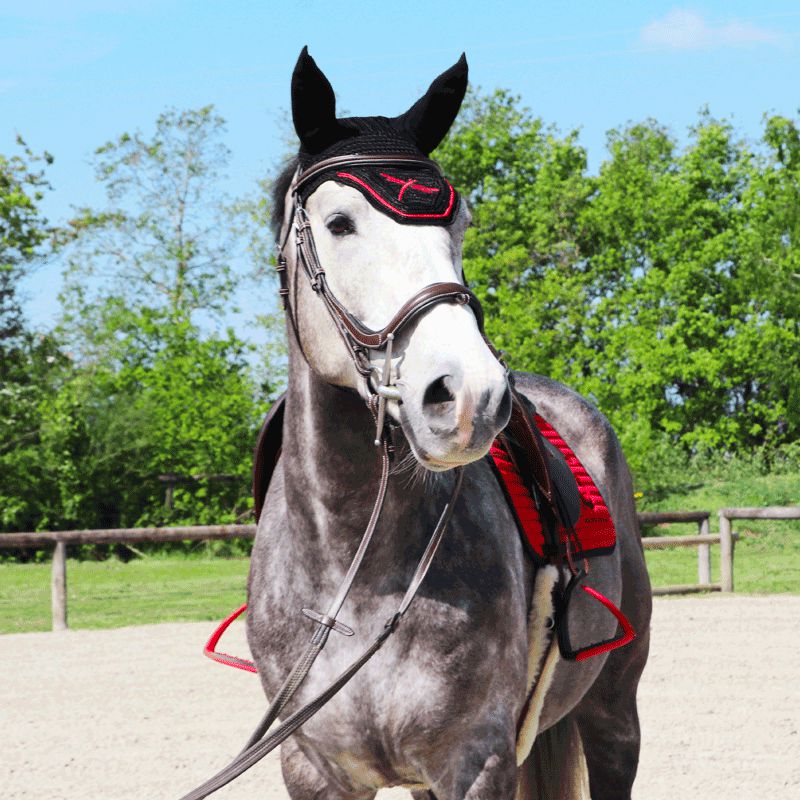 Freejump - Bonnet pour cheval Noir / Rouge | - Ohlala