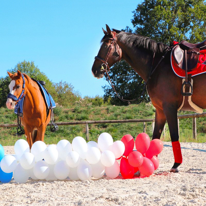 Jump'In - Tapis de selle rouge/ blanc/ marine | - Ohlala