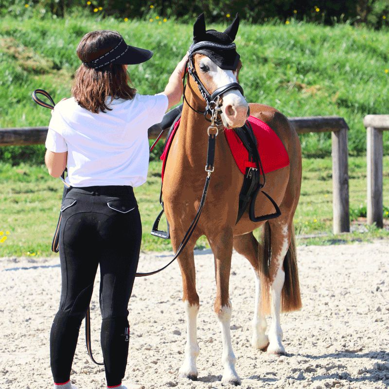 Collection Equine - T-shirt manches courtes Sans Faute blanc | - Ohlala