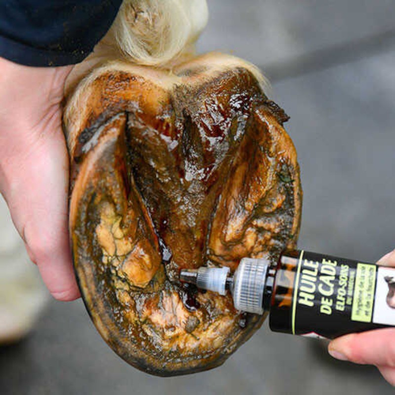 Onguent du Maréchal - Protection of the Marshal Elfo Care fork