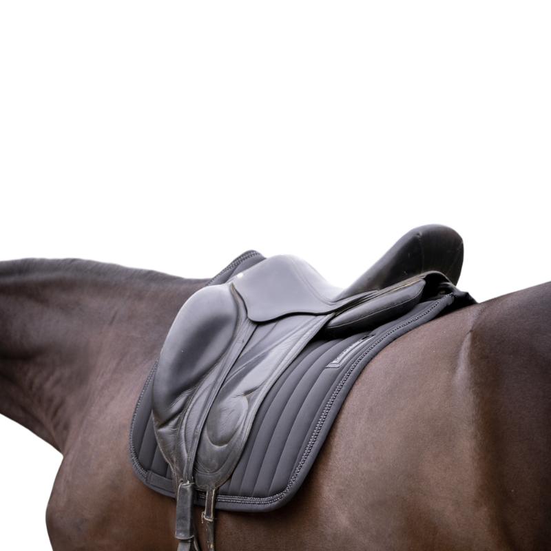 Paddock Sports - Tapis de dressage Verticali noir | - Ohlala