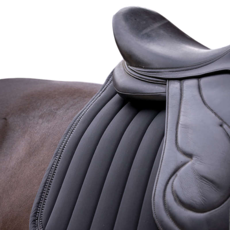 Paddock Sports - Tapis de dressage Verticali noir | - Ohlala