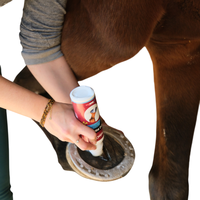 Paskacheval - Protection de la fourchette Frog protec liquide | - Ohlala