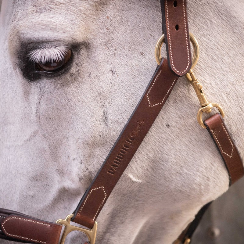 Paddock Sports - Licol 3 mousquetons havane | - Ohlala