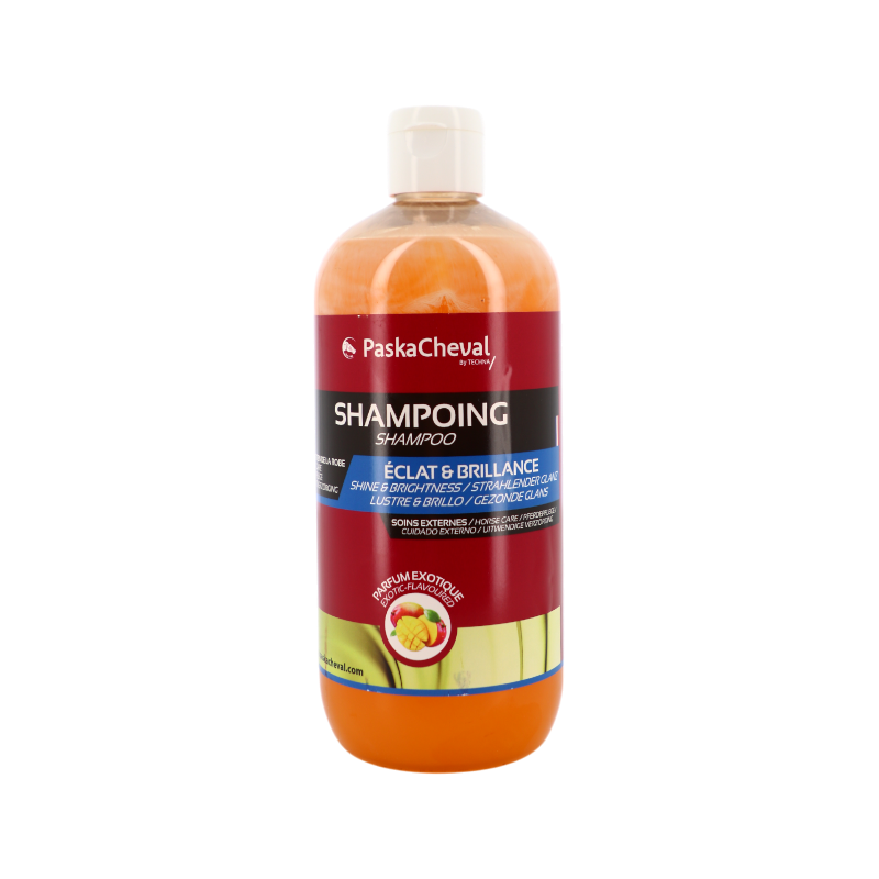 Paskacheval - Bright & Shine Shampoo