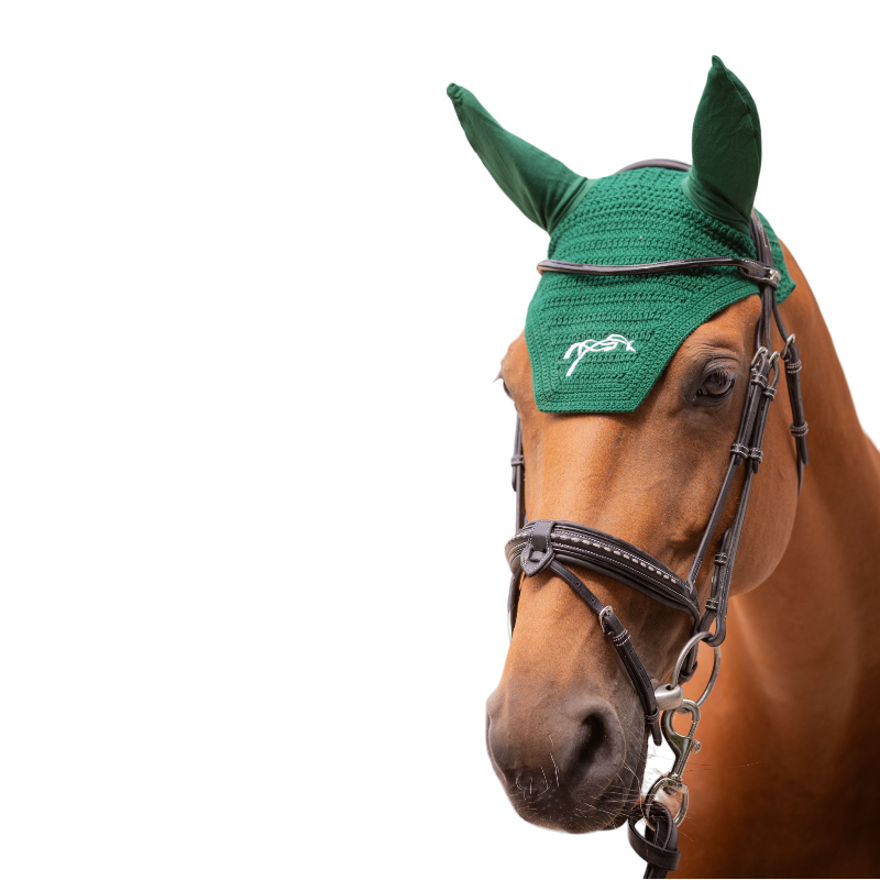 Pénélope - Bonnet pour chevaux coton vert foncé