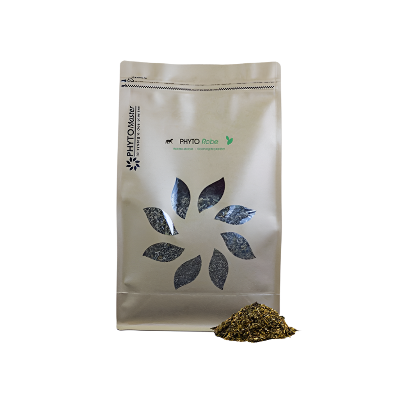 PhytoMaster - Complément alimentaire santé peau et robe Phyto Robe 1 kg