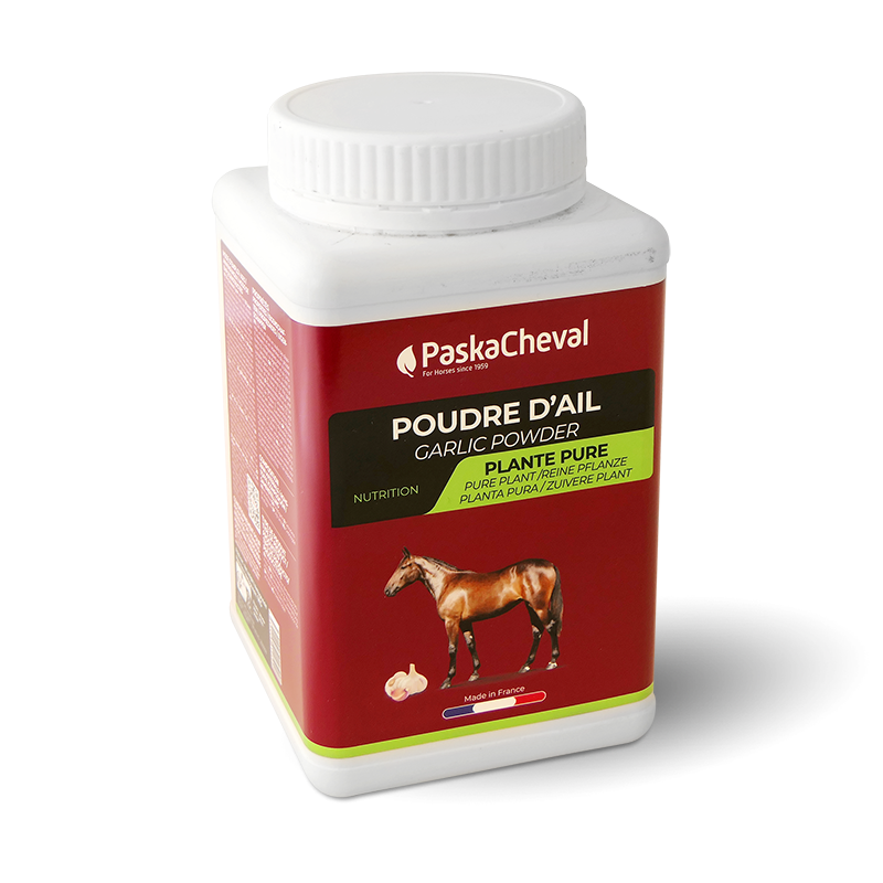 Paskacheval - Ail en poudre | - Ohlala