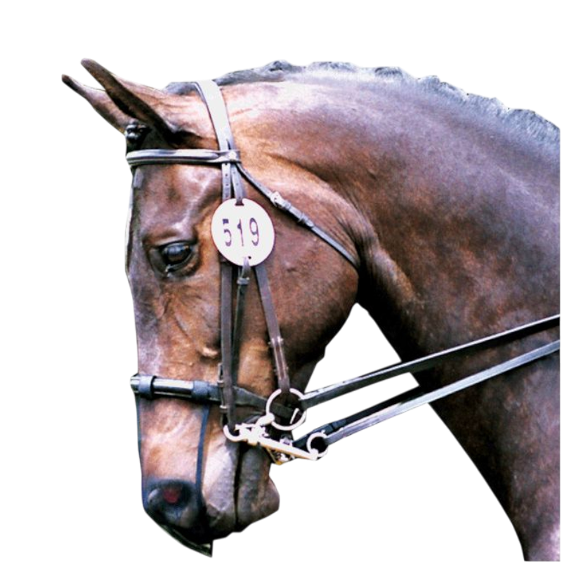 Equilibrium - Protection de nez anti-encensement | - Ohlala