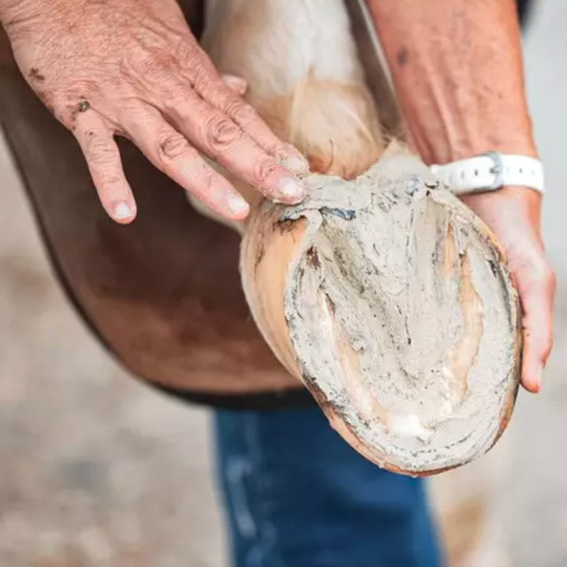 Ravene - Argile pour sabots Pediplaste | - Ohlala