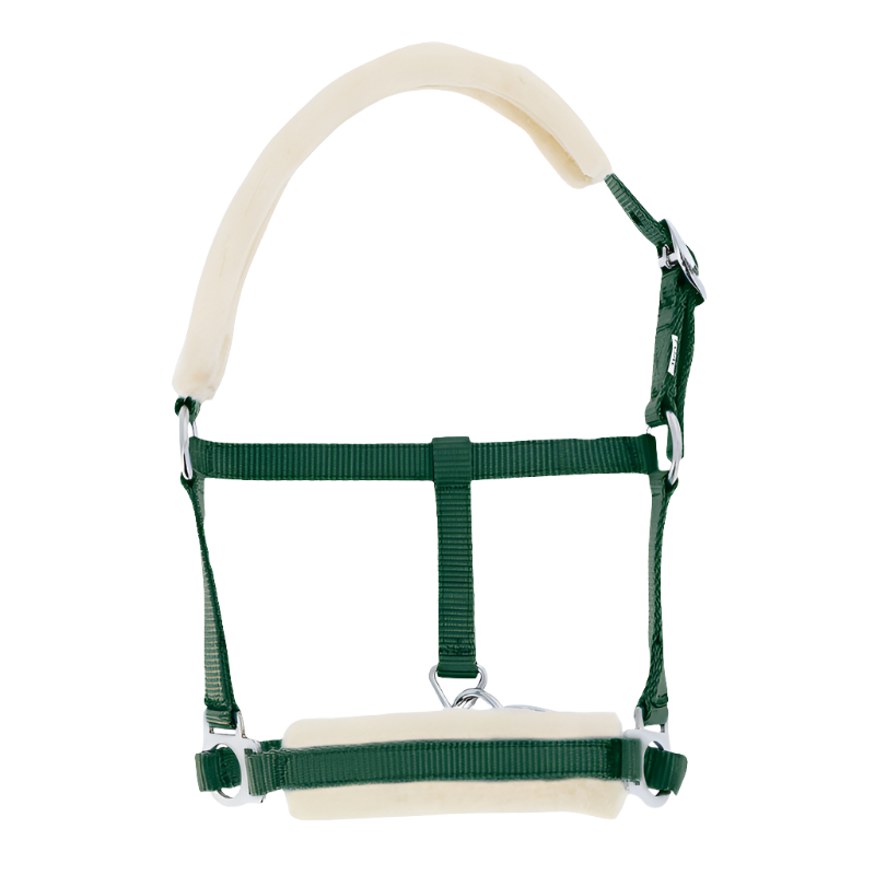 Riding World - Licol foal synthétique Mouton vert foncé