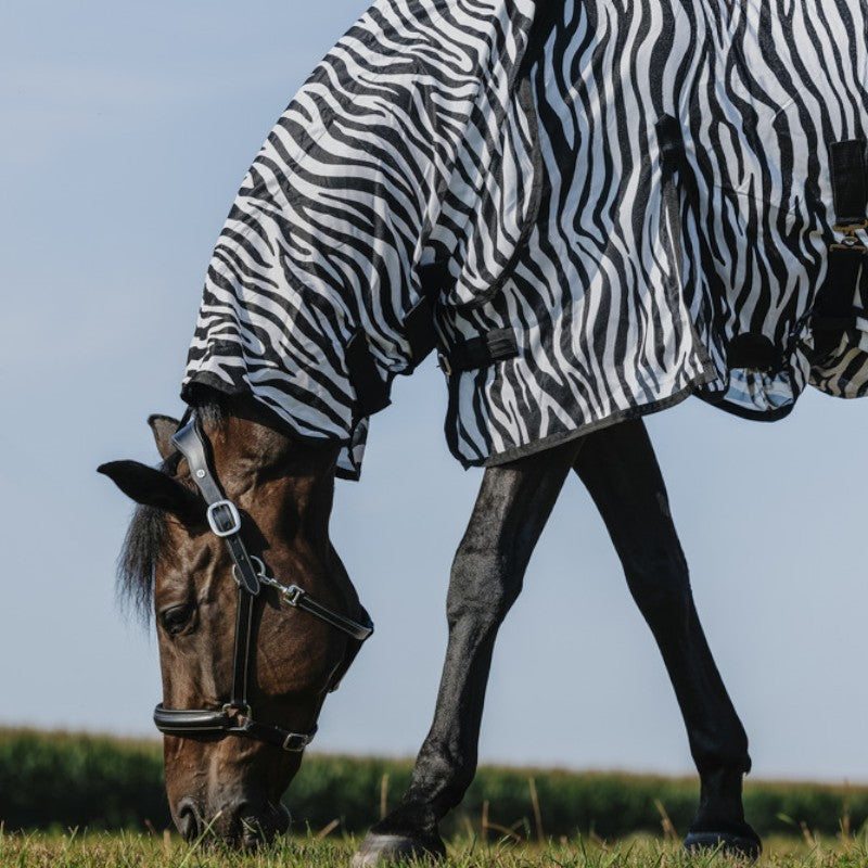 Riding World - Chemise anti-mouches mesh Combo Belly zebre | - Ohlala