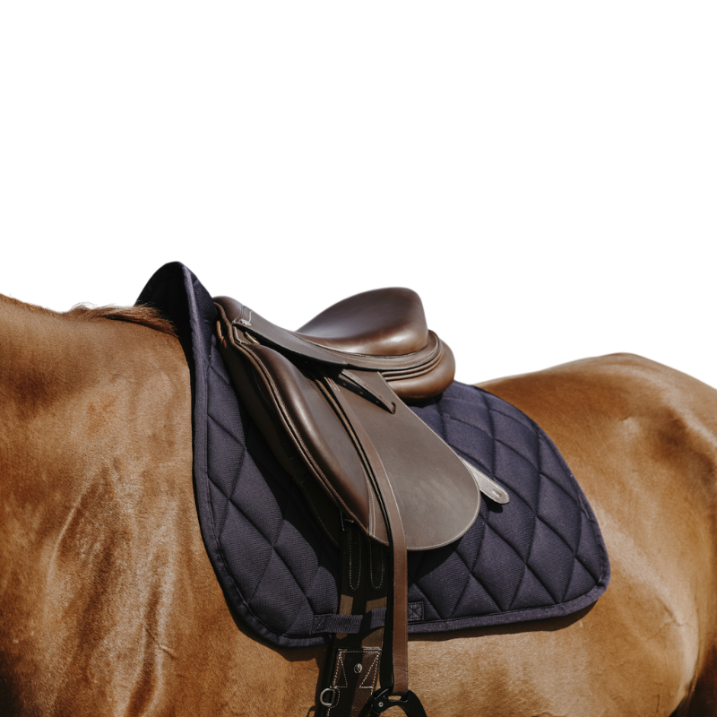 Riding World - Tapis de selle School marine | - Ohlala