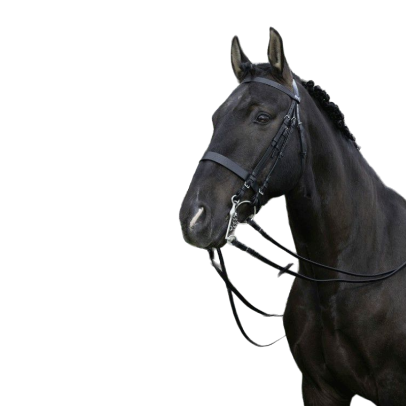 RIDING World - Black dressage flange with reins